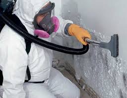 Burns Flat, OK Mold Removal Services Company